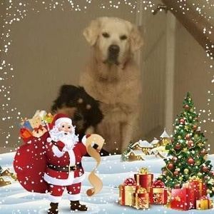 Meet your Posher, Marc